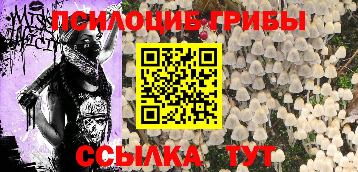 Галлюциногенные грибы ЛСД  Вход с VPN  Гулькевичи 